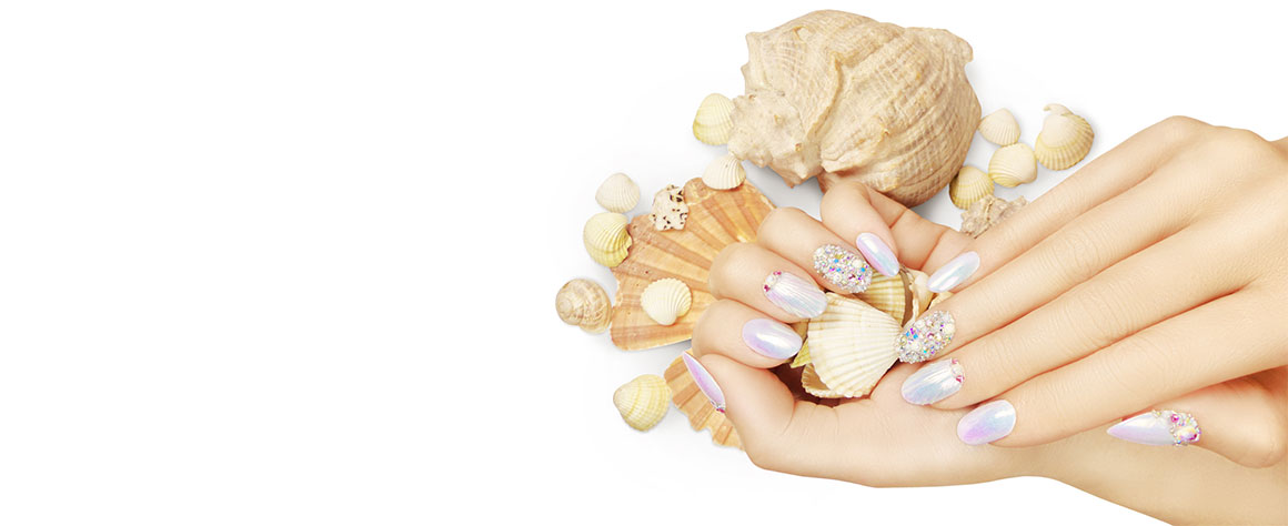 シェルネイルの写真
