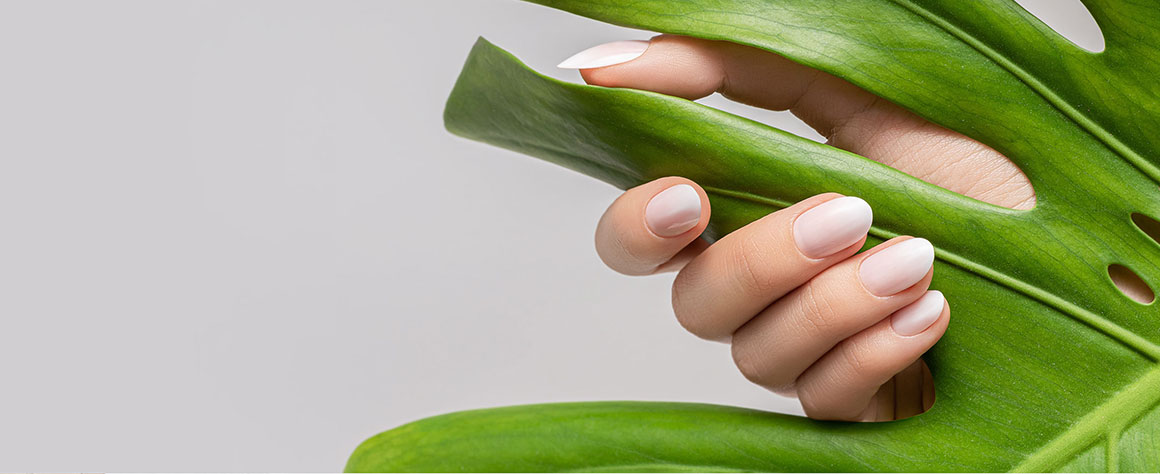 シェルネイルの写真